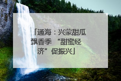 通海：兴蒙甜瓜飘香季 “甜蜜经济”促振兴