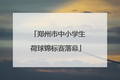 郑州市中小学生荷球锦标赛落幕