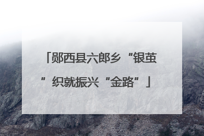 郧西县六郎乡“银茧”织就振兴“金路”