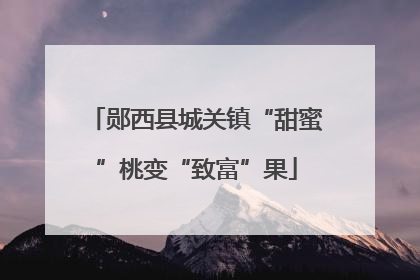 郧西县城关镇“甜蜜”桃变“致富”果