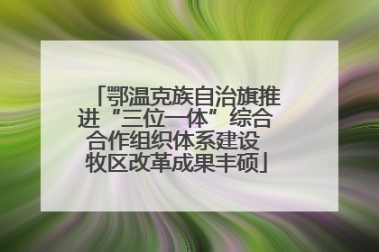 鄂温克族自治旗推进“三位一体”综合合作组织体系建设 牧区改革成果丰硕