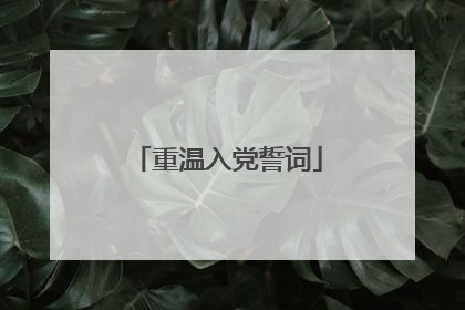重温入党誓词