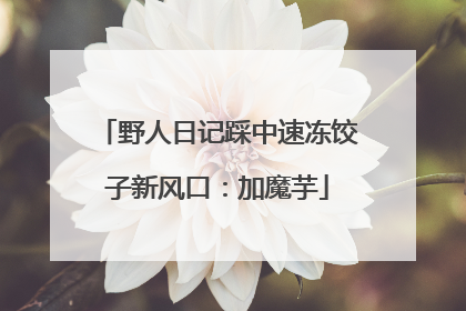 野人日记踩中速冻饺子新风口：加魔芋