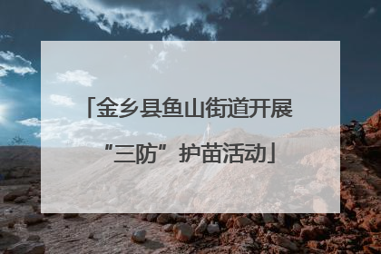 金乡县鱼山街道开展“三防”护苗活动
