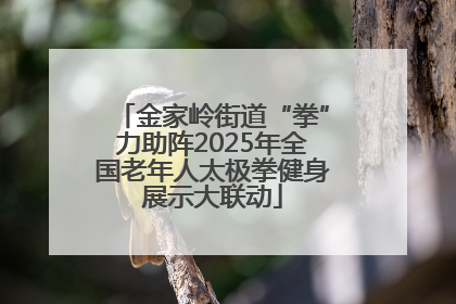 金家岭街道“拳”力助阵2025年全国老年人太极拳健身展示大联动