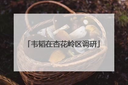 韦韬在杏花岭区调研