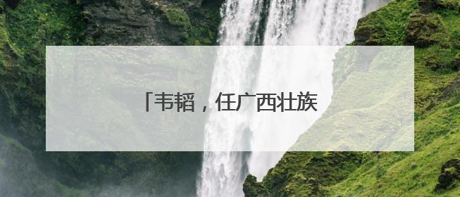 韦韬，任广西壮族自治区代理主席
