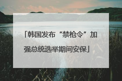 韩国发布“禁枪令”加强总统选举期间安保