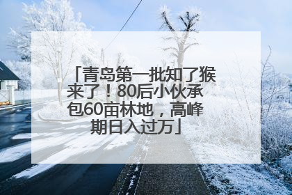 青岛第一批知了猴来了！80后小伙承包60亩林地，高峰期日入过万