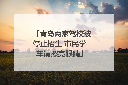 青岛两家驾校被停止招生 市民学车请擦亮眼睛