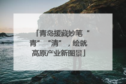 青岛援藏妙笔“青”“清”，绘就高原产业新图景