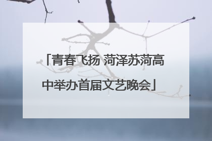 青春飞扬 菏泽苏菏高中举办首届文艺晚会