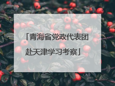 青海省党政代表团赴天津学习考察