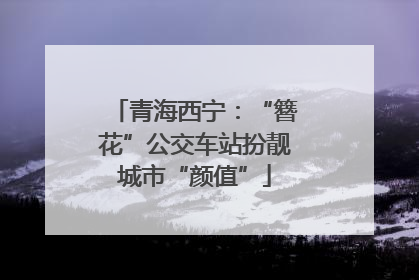 青海西宁：“簪花”公交车站扮靓城市“颜值”