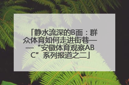 静水流深的B面：群众体育如何走进街巷——“安徽体育观察ABC”系列报道之二