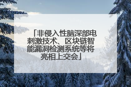 非侵入性脑深部电刺激技术、区块链智能漏洞检测系统等将亮相上交会