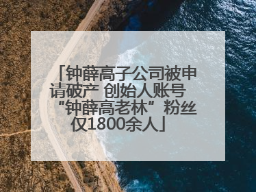 钟薛高子公司被申请破产 创始人账号“钟薛高老林”粉丝仅1800余人
