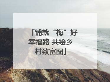 铺就“梅”好幸福路 共绘乡村致富图