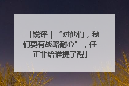 锐评｜“对他们，我们要有战略耐心”，任正非给谁提了醒