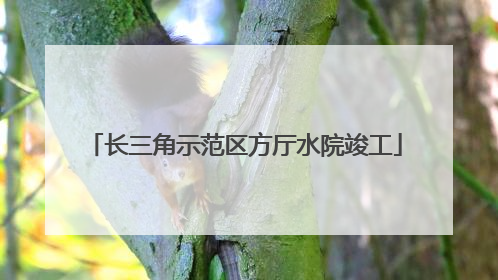 长三角示范区方厅水院竣工