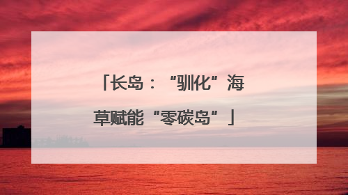 长岛：“驯化”海草赋能“零碳岛”