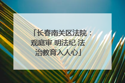 长春南关区法院：观庭审 明法纪 法治教育入人心