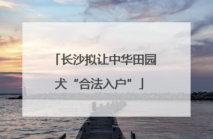 长沙拟让中华田园犬“合法入户”