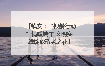 镇安：“银龄行动”情暖端午 文明实践绽放敬老之花