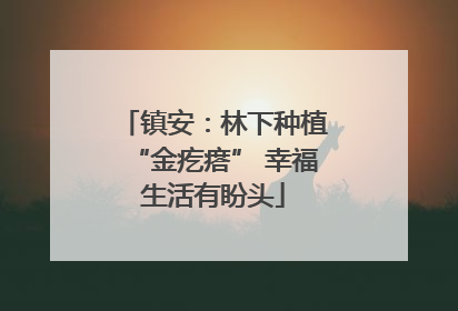 镇安：林下种植“金疙瘩” 幸福生活有盼头