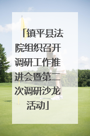 镇平县法院组织召开调研工作推进会暨第二次调研沙龙活动