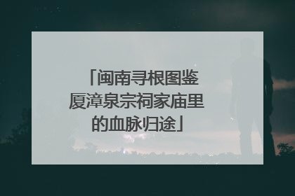 闽南寻根图鉴 厦漳泉宗祠家庙里的血脉归途