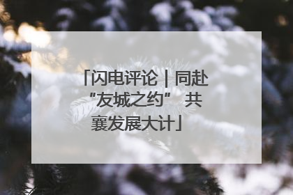 闪电评论｜同赴“友城之约” 共襄发展大计