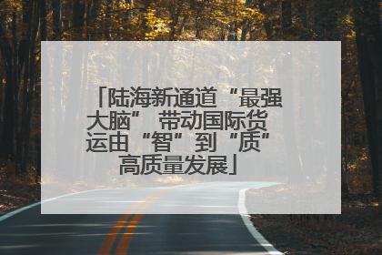 陆海新通道“最强大脑” 带动国际货运由“智”到“质”高质量发展