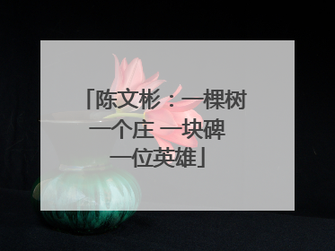 陈文彬：一棵树 一个庄 一块碑 一位英雄