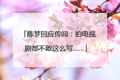 陈梦回应传闻：拍电视剧都不敢这么写……
