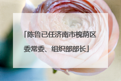 陈鲁已任济南市槐荫区委常委、组织部部长