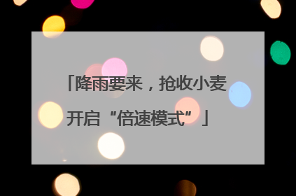 降雨要来，抢收小麦开启“倍速模式”