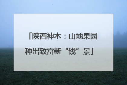 陕西神木：山地果园种出致富新“钱”景