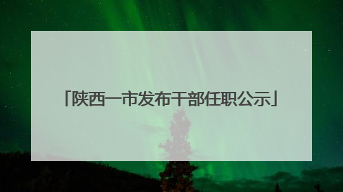 陕西一市发布干部任职公示