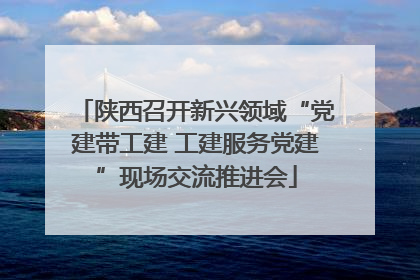 陕西召开新兴领域“党建带工建 工建服务党建”现场交流推进会