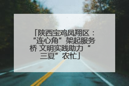 陕西宝鸡凤翔区：“连心角”架起服务桥 文明实践助力“三夏”农忙