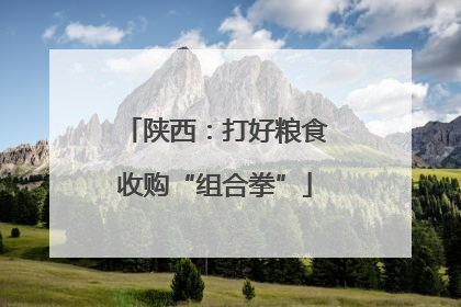 陕西：打好粮食收购“组合拳”