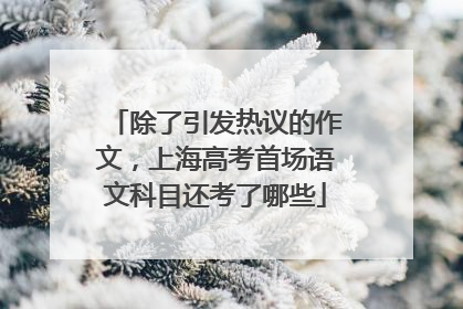 除了引发热议的作文，上海高考首场语文科目还考了哪些