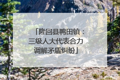 隆回县鸭田镇：三级人大代表合力调解矛盾纠纷