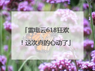 雷电云618狂欢！这次真的心动了