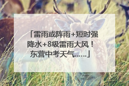 雷雨或阵雨+短时强降水+8级雷雨大风！东营中考天气……