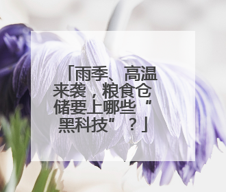 雨季、高温来袭，粮食仓储要上哪些“黑科技”？