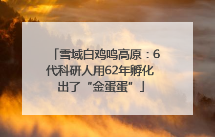 雪域白鸡鸣高原：6代科研人用62年孵化出了“金蛋蛋”