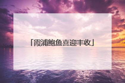 霞浦鲍鱼喜迎丰收