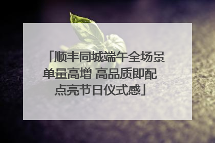 顺丰同城端午全场景单量高增 高品质即配点亮节日仪式感